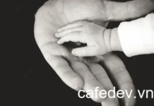 Xây dựng An toàn cho AI từ Đầu: Zero Trust và Bảo mật Đáng Tin Cậy