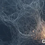 Nhà Phát Triển Vô Hình: Lý Do Sự Quan Tâm Khiến Bạn Kiệt Sức