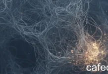 Nhà Phát Triển Vô Hình: Lý Do Sự Quan Tâm Khiến Bạn Kiệt Sức